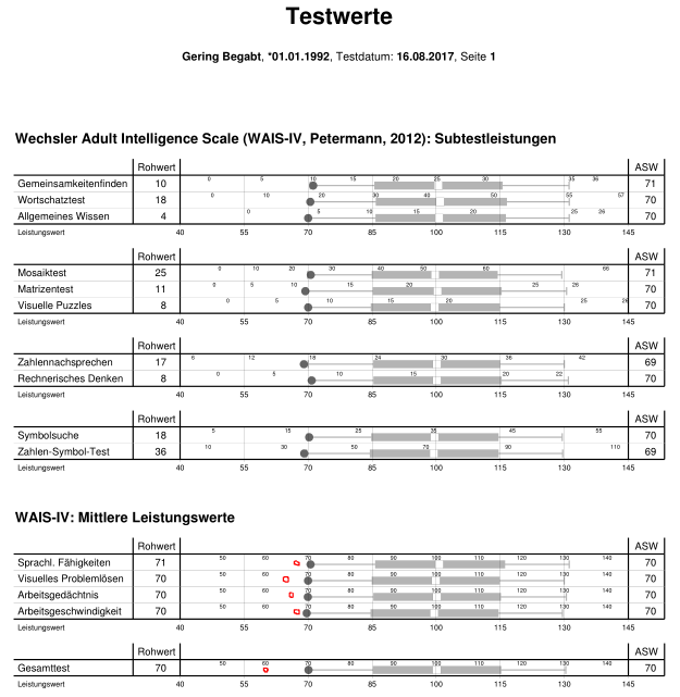 wais-iv-d_beispiel_profil_gering_begabt_screenshot.png